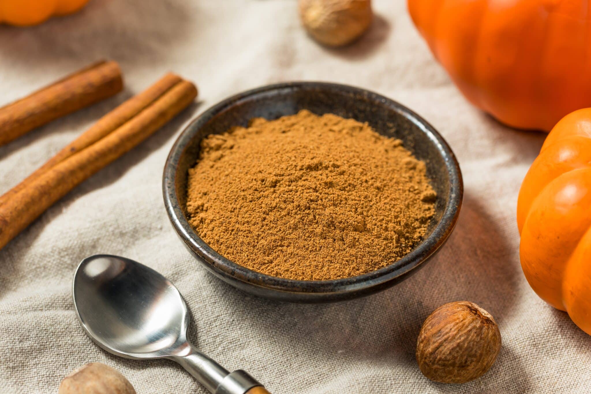 Ground pumpkin spice
